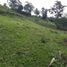  Land for sale in Guatape, Antioquia, Guatape