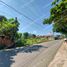  Land for sale in Pozorrubio, Ilocos, Pozorrubio