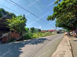  Land for sale in Pangasinan, Ilocos, Pozorrubio, Pangasinan