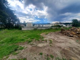  Land for sale in Conocoto, Pichincha, Conocoto