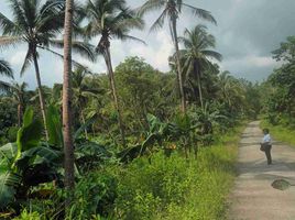  Land for sale in Bohol, Central Visayas, Balilihan, Bohol