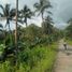  Land for sale in Balilihan, Central Visayas, Balilihan