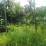  Land for sale in Bohol, Central Visayas, Balilihan, Bohol