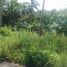  Land for sale in Bohol, Central Visayas, Balilihan, Bohol