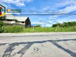  Land for rent in Tarlac, Central Luzon, Concepcion, Tarlac