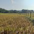  Land for sale in La Union, Ilocos, San Fernando City, La Union