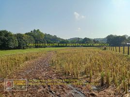  Land for sale in La Union, Ilocos, San Fernando City, La Union