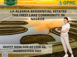  Terreno (Parcela) en venta en Silay City, Negros Occidental, Silay City