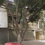 2 Bedroom Apartment for sale in Miguel Hidalgo, Mexico City, Miguel Hidalgo