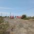  Terreno (Parcela) en venta en Castilla, Piura, Castilla, Piura, Piura