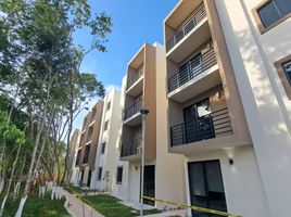 Condominium 3 chambre à vendre à Cozumel, Quintana Roo, Cozumel, Quintana Roo