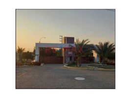  Terreno (Parcela) en venta en Castilla, Piura, Castilla, Piura, Piura