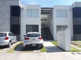 Appartement 2 chambre à louer à Queretaro, Queretaro, Queretaro, Queretaro