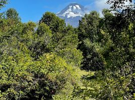  Terreno (Parcela) en venta en Universidad de la Frontera Campus Pucón, Pucón, Pucón