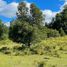 Terreno (Parcela) en venta en Universidad de la Frontera Campus Pucón, Pucón, Pucón