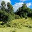  Terreno (Parcela) en venta en Universidad de la Frontera Campus Pucón, Pucón, Pucón