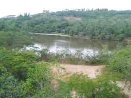 在Coatepec, Veracruz出售的 土地, Coatepec