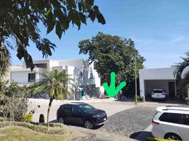  Terreno (Parcela) en venta en Coatepec, Veracruz, Coatepec, Veracruz