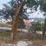  Terreno (Parcela) en venta en Coatepec, Veracruz, Coatepec, Veracruz