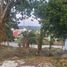  Terreno (Parcela) en venta en Coatepec, Veracruz, Coatepec, Veracruz