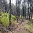  Land for sale in Chile, Pucon, Cautin, Araucania, Chile