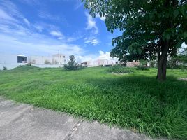  Land for sale in Compostela Nayarit, Compostela