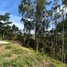  Land for sale in Rionegro, Antioquia, Rionegro