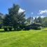 5 Bedroom House for sale in Rio Bueno, Ranco, Rio Bueno