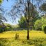  Terreno (Parcela) en venta en Maipo, Santiago, Buin, Maipo