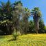  Terreno (Parcela) en venta en Maipo, Santiago, Buin, Maipo