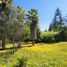  Terreno (Parcela) en venta en Maipo, Santiago, Buin, Maipo
