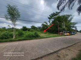  Terreno (Parcela) en venta en Panglao, Central Visayas, Panglao, Bohol, Central Visayas, Filipinas