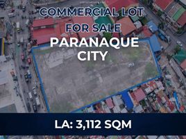  Terrain for sale in Southern District, Metro Manila, Paranaque City, Southern District