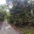  Land for sale in Batang Kali, Selangor, Batang Kali, Ulu Selangor