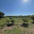  Land for sale in Punilla, Cordoba, Punilla