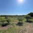  Land for sale in Punilla, Cordoba, Punilla