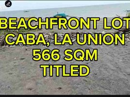  Land for sale in La Union, Ilocos, Caba, La Union