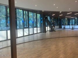 1 Schlafzimmer Wohnung zu vermieten in Miguel Hidalgo, Mexico City, Miguel Hidalgo, Mexico City