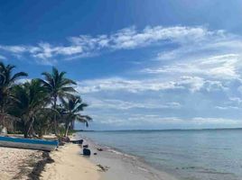  Grundstück zu verkaufen in Othon P Blanco, Quintana Roo, Othon P Blanco