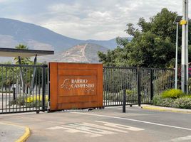  Land for sale in Chile, Quillota, Quillota, Valparaiso, Chile