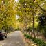  Land for sale in Chile, Quillota, Quillota, Valparaiso, Chile