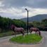  Land for sale in Chile, Quillota, Quillota, Valparaiso, Chile