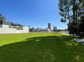  Grundstück zu verkaufen in Santa Isabel Cholula, Puebla, Santa Isabel Cholula