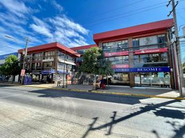 4,667 m2 Office for sale in Maule, Curico, Curico, Maule