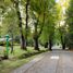 5 Bedroom House for sale in Villarrica, Cautin, Villarrica