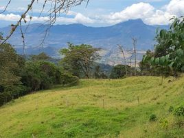  Terreno (Parcela) en venta en Fusagasuga, Cundinamarca, Fusagasuga