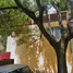 4 Bedroom House for sale in Alvaro Obregon, Mexico City, Alvaro Obregon, Mexico City