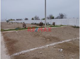 Grundstück zu verkaufen in San Vicente de Cañete, Lima, San Vicente de Cañete, Cañete