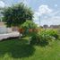  Terreno (Parcela) en venta en Castilla, Piura, Castilla, Piura, Piura