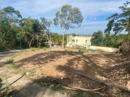  Grundstück zu verkaufen in Jose Azueta, Guerrero, Jose Azueta